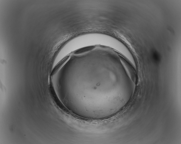 X0000090900019200708061512