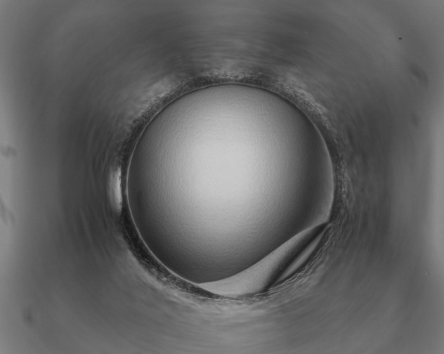 X0000090900020200708061512