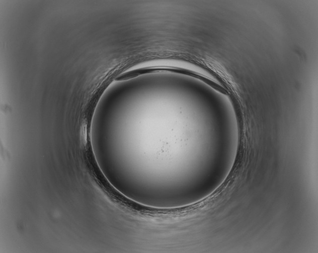 X0000090900021200708061512