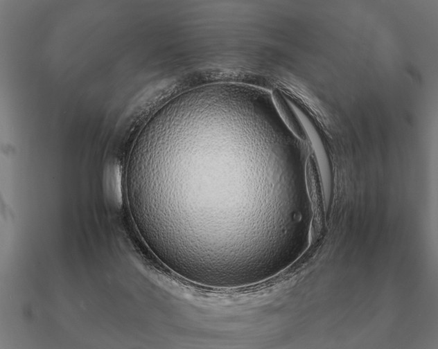 X0000090900022200708061512