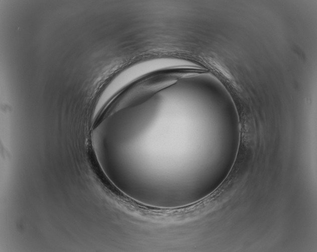 X0000090900023200708061512