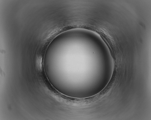 X0000090900024200708061512