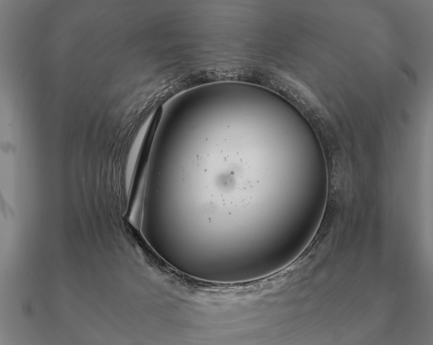 X0000090900025200708061512