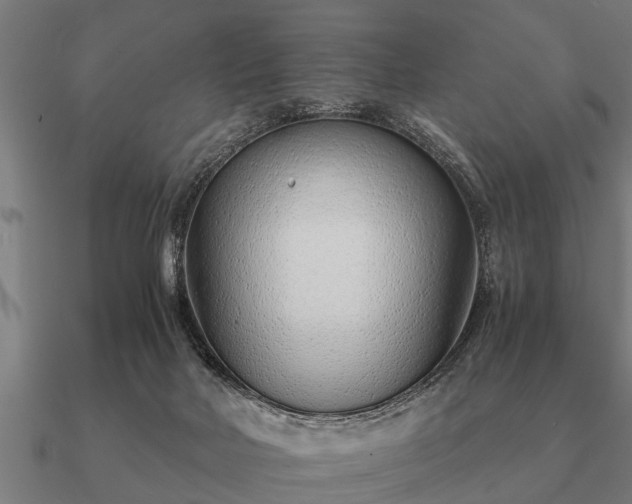 X0000090900026200708061512