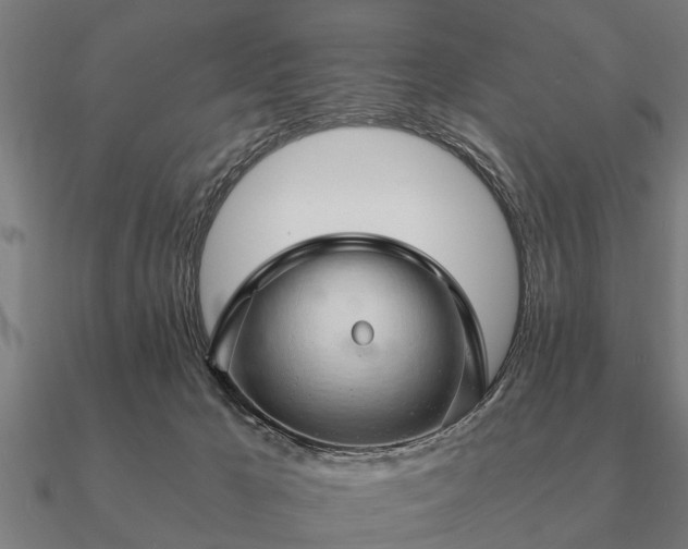 X0000090900029200708061512