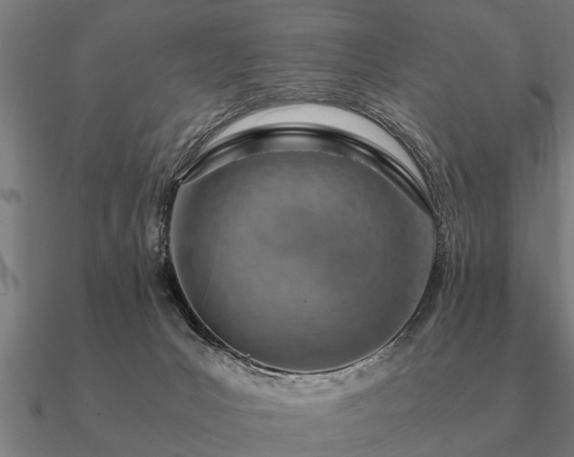 X0000090900031200708061512