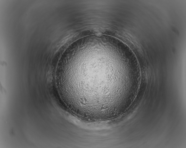 X0000090900032200708061512