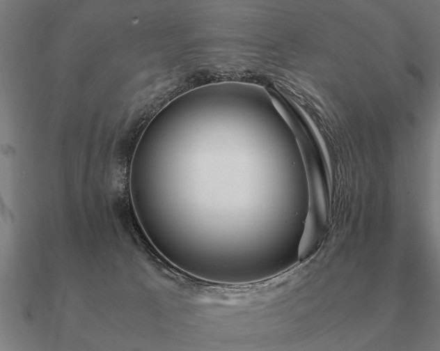 X0000090900033200708061512