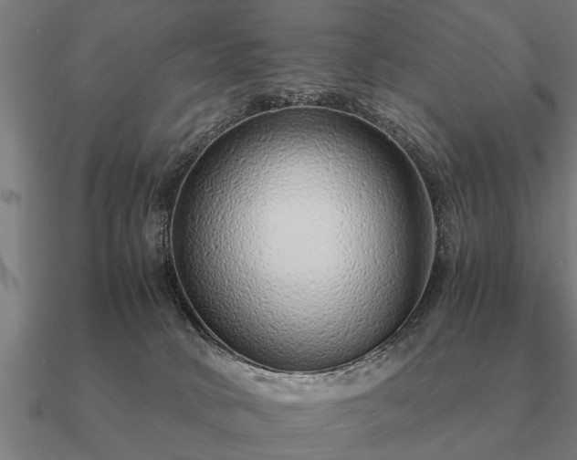 X0000090900034200708061512