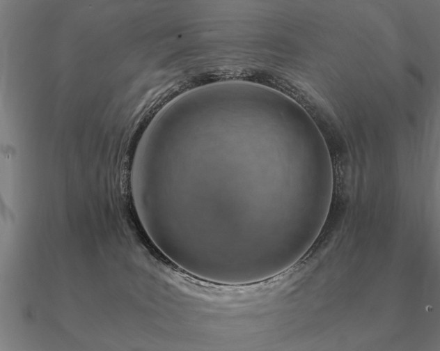 X0000090900035200708061512