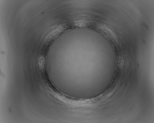 X0000090900036200708061512