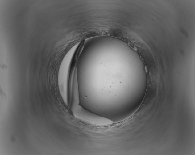 X0000090900037200708061512