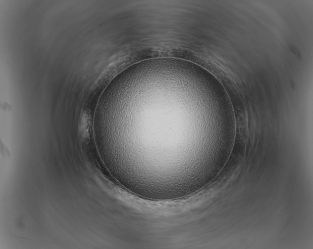 X0000090900038200708061512