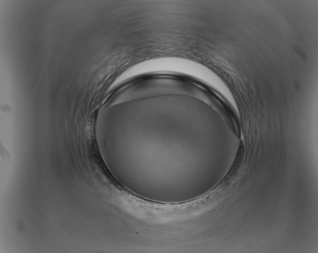 X0000090900039200708061512