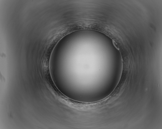 X0000090900040200708061512