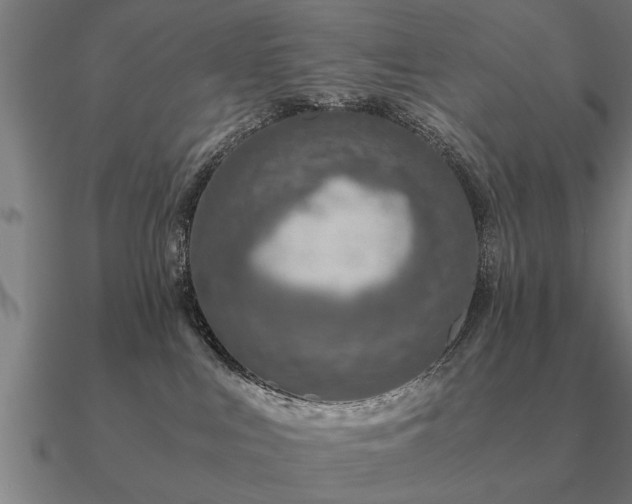 X0000090900043200708061512