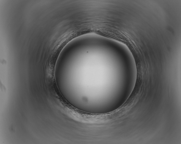 X0000090900044200708061512