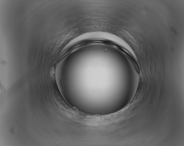 X0000090900045200708061512