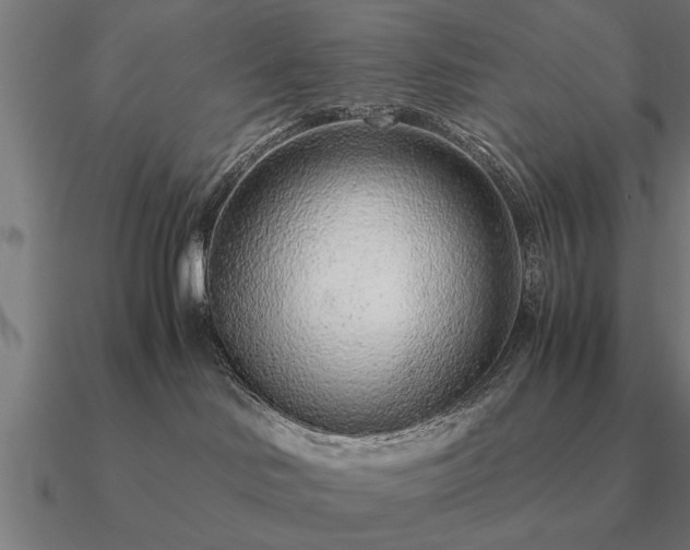 X0000090900046200708061512