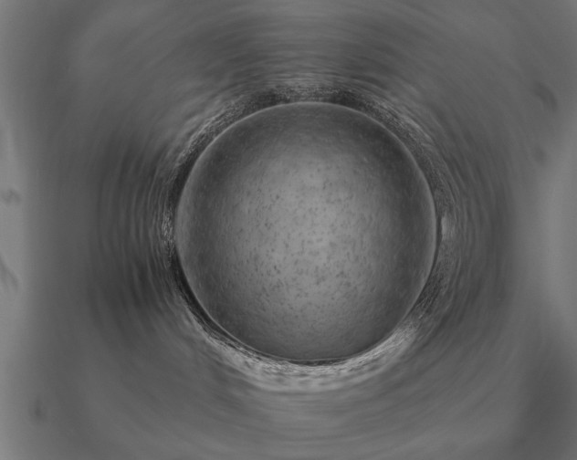 X0000090900048200708061512