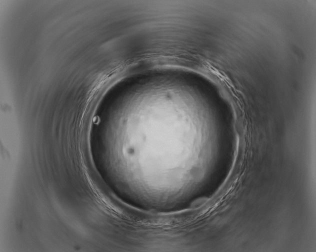 X0000090900049200708061511