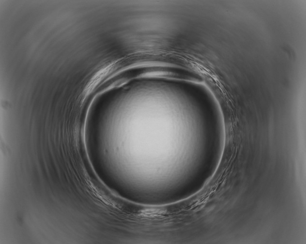 X0000090900051200708061511