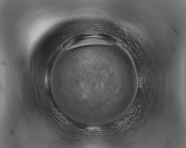 X0000090900052200708061511