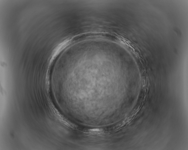 X0000090900053200708061511