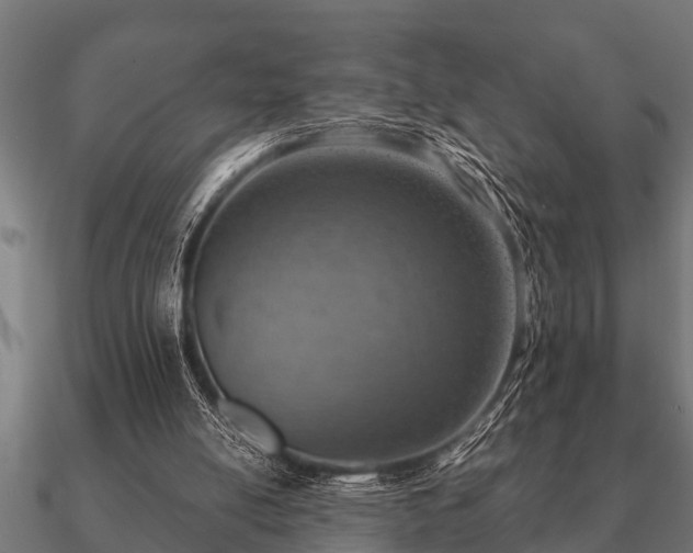 X0000090900054200708061511