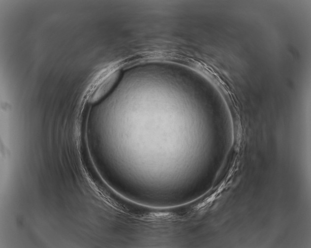 X0000090900055200708061511