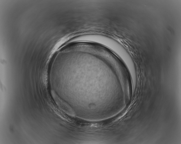 X0000090900056200708061511