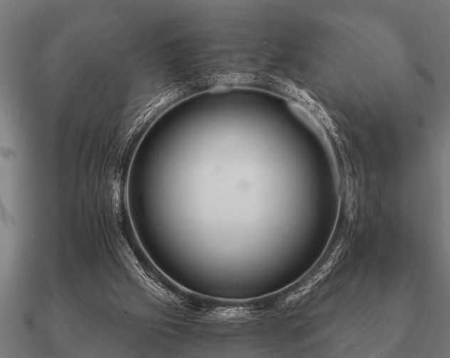 X0000090900057200708061511