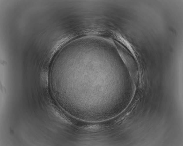 X0000090900059200708061511