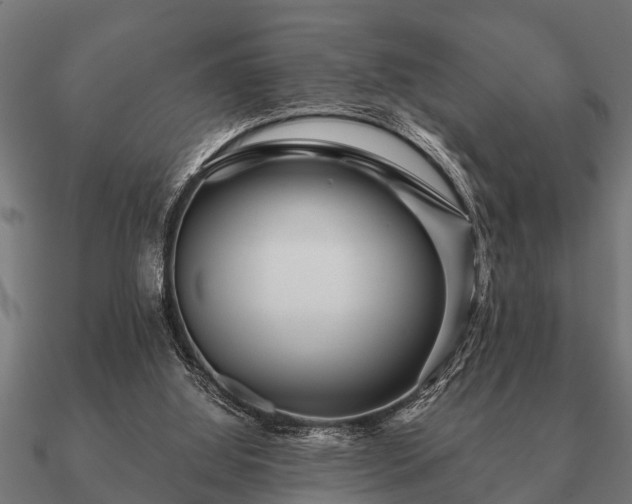 X0000090900060200708061511