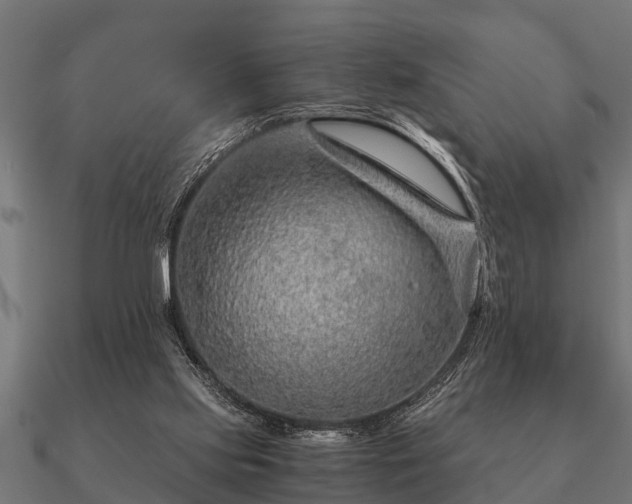 X0000090900061200708061511