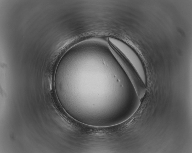 X0000090900062200708061511