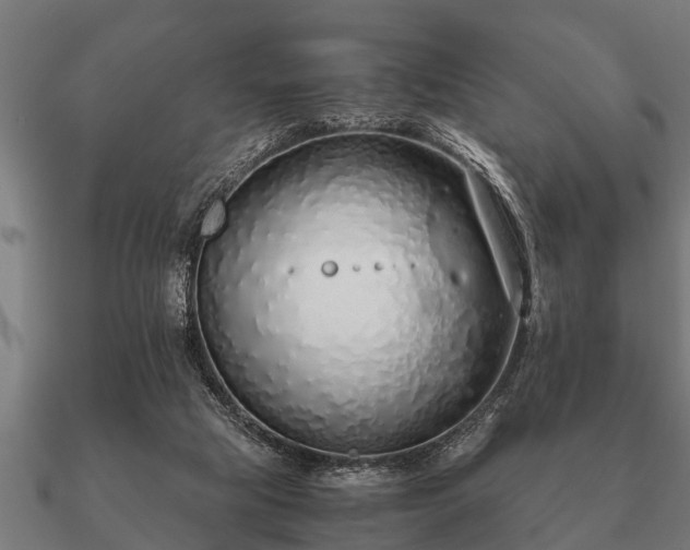 X0000090900065200708061512