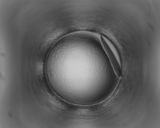 X0000090900066200708061512