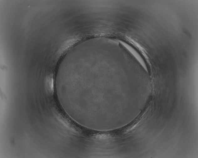 X0000090900067200708061512