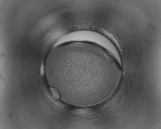 X0000090900069200708061512