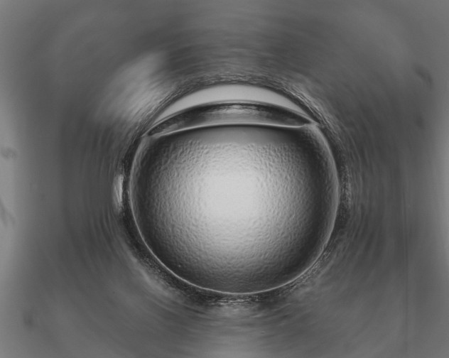 X0000090900070200708061512