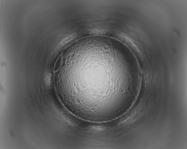 X0000090900071200708061512