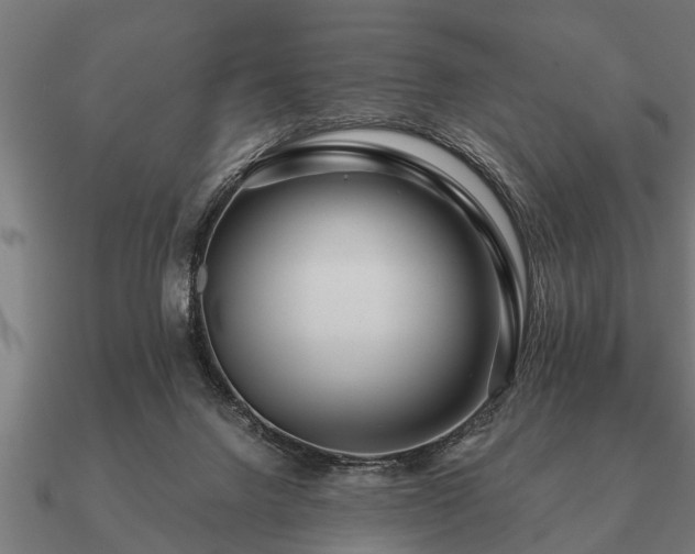 X0000090900072200708061512