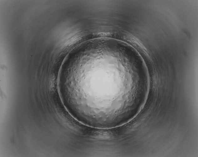 X0000090900073200708061512