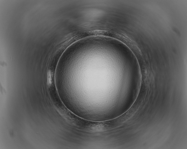 X0000090900075200708061512