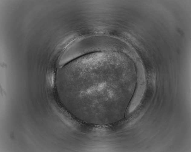 X0000090900076200708061512