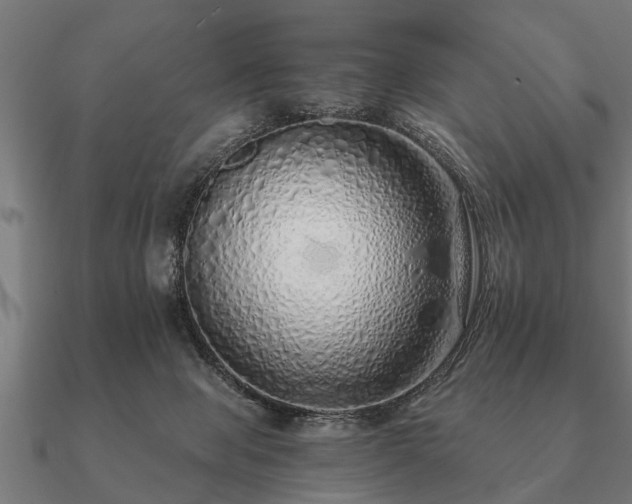 X0000090900077200708061512