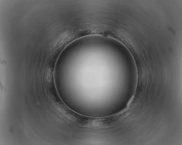 X0000090900078200708061512