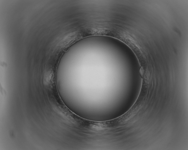 X0000090900079200708061512