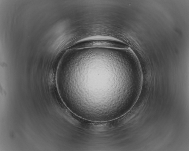 X0000090900081200708061512